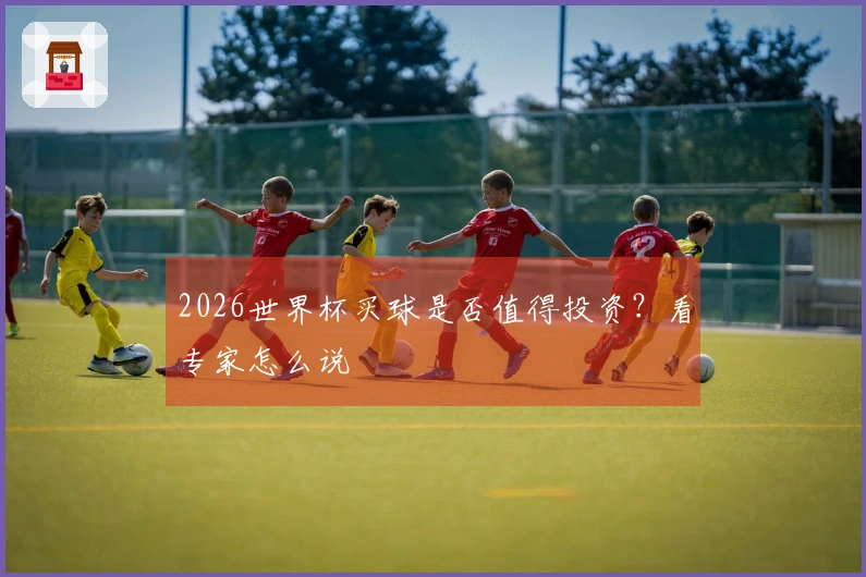 2026世界杯买球是否值得投资？看专家怎么说