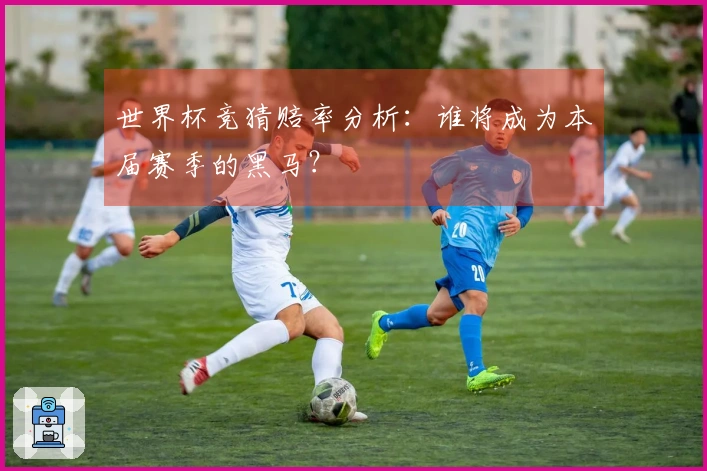 世界杯竞猜赔率分析：谁将成为本届赛季的黑马？