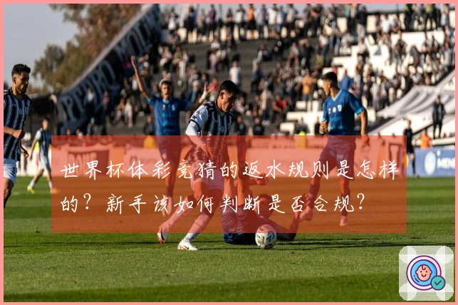 世界杯体彩竞猜的返水规则是怎样的？新手该如何判断是否合规？