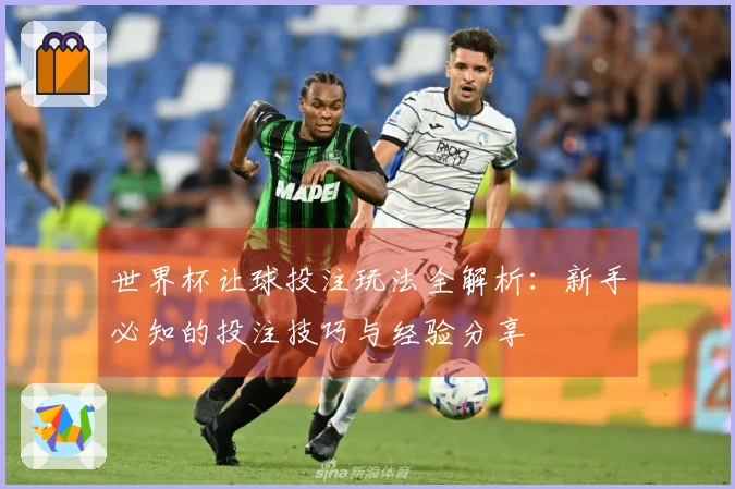 世界杯让球投注玩法全解析：新手必知的投注技巧与经验分享