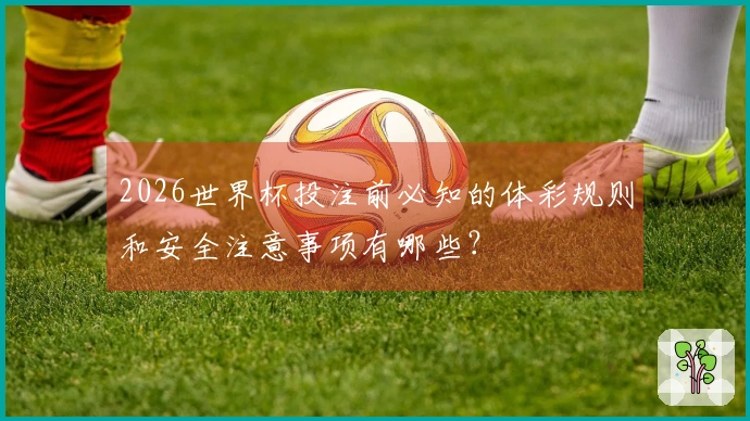 2026世界杯投注前必知的体彩规则和安全注意事项有哪些？