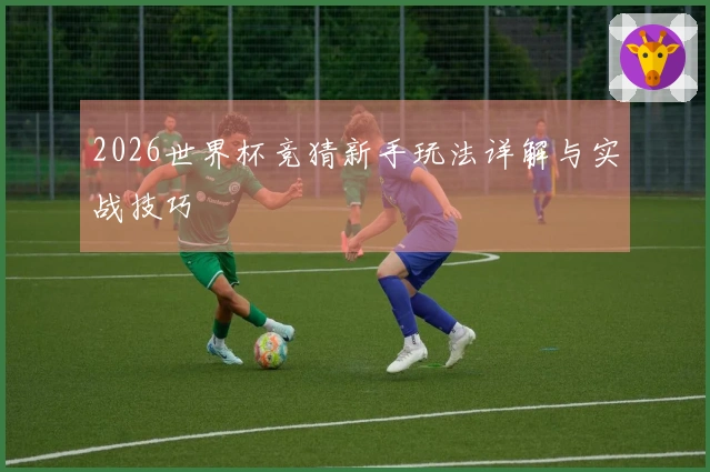 2026世界杯竞猜新手玩法详解与实战技巧