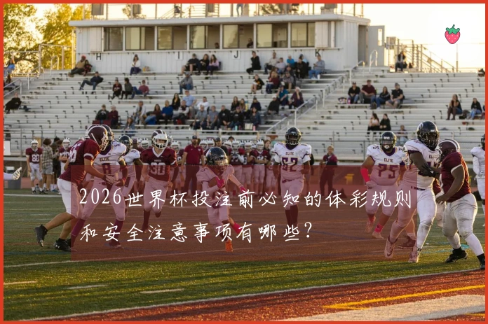 2026世界杯投注前必知的体彩规则和安全注意事项有哪些？