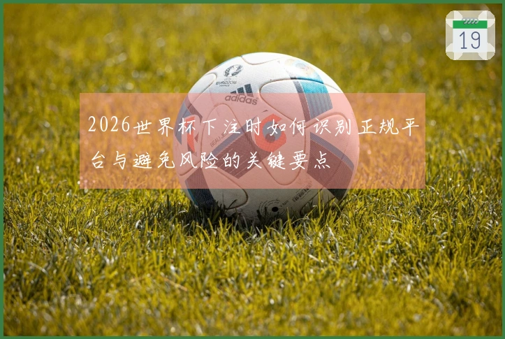 2026世界杯下注时如何识别正规平台与避免风险的关键要点