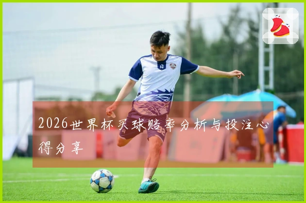2026世界杯买球赔率分析与投注心得分享