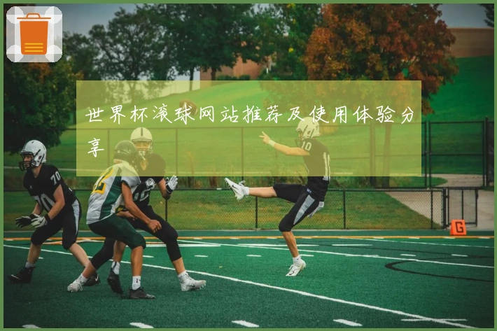 世界杯滚球网站推荐及使用体验分享