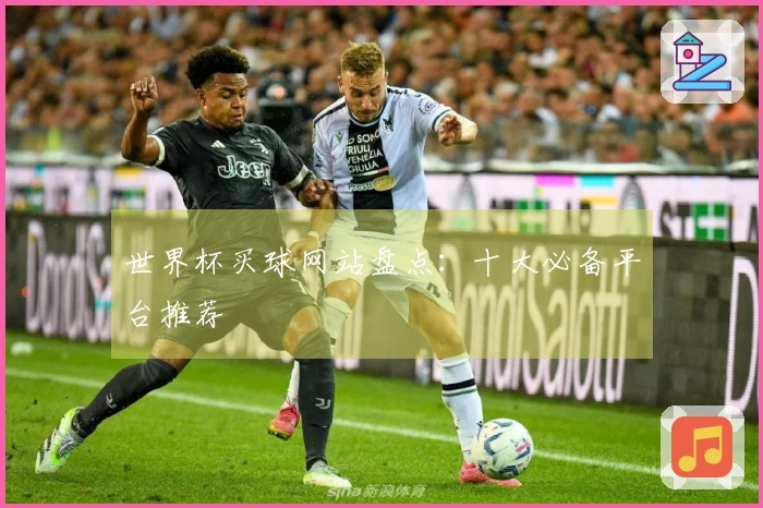 世界杯买球网站盘点：十大必备平台推荐