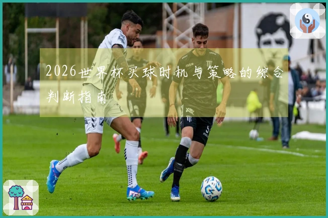 2026世界杯买球时机与策略的综合判断指南