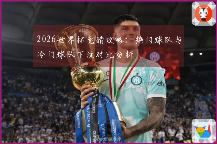 2026世界杯竞猜攻略：热门球队与冷门球队下注对比分析